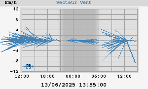 Wind Vector