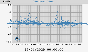 Wind Vector