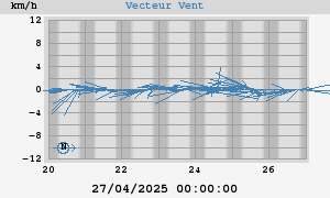 Wind Vector